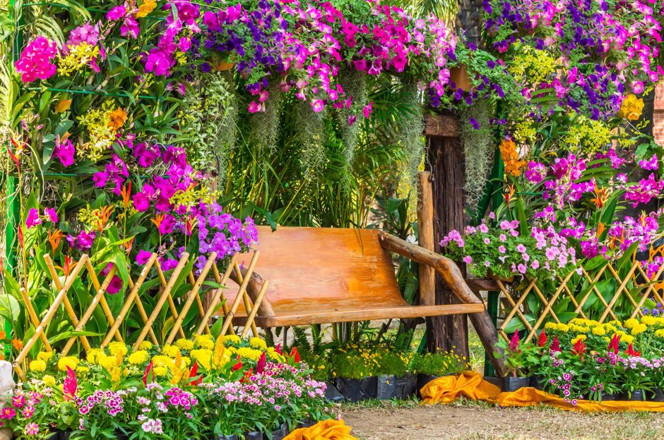 Pachnący ogród: kwiaty i krzewy z najpiękniejszym zapachem